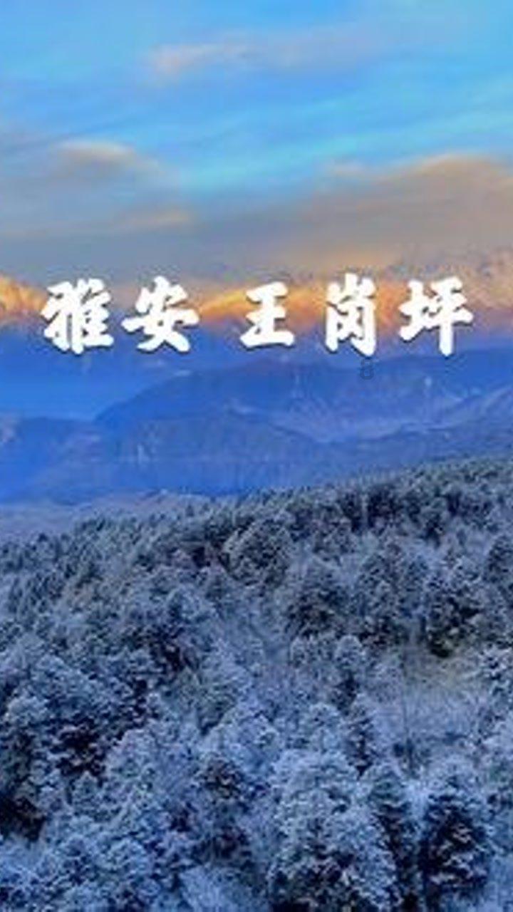 皇室家族