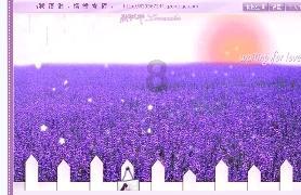 【热点聚焦】推进高水平改革开放 增强发展动力活力